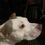 Lisa Hammonds - @lahammonds1 - Instagram