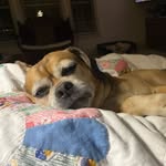 Lisa Hammonds - @lham2240 - Instagram
