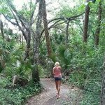 Lisa Hampton - @lisa.hampton.5243 - Instagram
