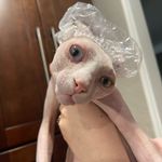 Lisa Hampton Holder - @holderlisahampton - Instagram