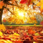 Lisa Handley - Facebook