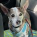 Lisa Hanney - Facebook