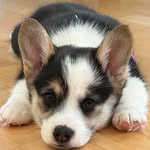 Lisa Christensen Hanus - @lisahanus - Instagram