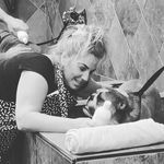 Lisa Hare - @lizzy71bulldog - Instagram