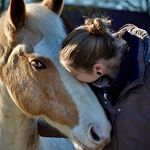 Lisa Haring - @tierphysiotherapie_lisa_haring - Instagram