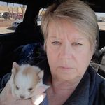 Elisa Harrod - @lisaharrod57 - Instagram