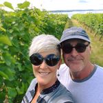 Lisa Patrick Harrod - @lisarharrod - Instagram