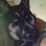 Lisa Woodruff Keeling - @roserain32 - Instagram