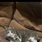 Lisa Keesee - Facebook