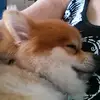 Lisa Kelch569 - @lisakelch569 - TikTok