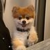 Lisa Kelch - Facebook