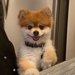 Lisa Kelch - @lisa.kelch - Instagram
