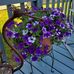 Lisa Kemmerer - Facebook