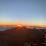 Lisa Kemmerer Nemeroff - @lbnem - Instagram