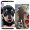 Lisa Kerscher - @lisa.kerscher2 - TikTok