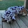 lisakesterson24 - @lisakesterson24 - TikTok