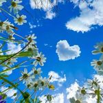 Lisa Ciampi Ketter - @butterflywd2024 - Instagram