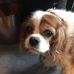Lisa Killough - Facebook