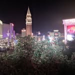 Lisa Kilpatrick - @cruisinaroundtravel - Instagram