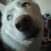 lisakilpatrick6 - @lisakilpatrick6 - TikTok