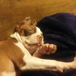 Lisa Kimbrough - @lisa.kimbrough.73113 - Instagram