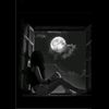 احمد - @lisakimm8 - TikTok