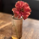 Lisa Kimmel - @kimmelphoto - Instagram