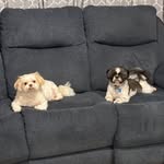 Lisa Kimmel Olson - @lisakimmelolson - Instagram