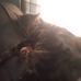 Lisa Kishpaugh - Facebook