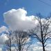 Lisa Kling - Facebook