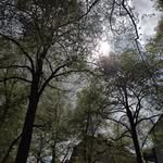 Lisa Kling - @lisak_ling - Instagram