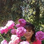 Lisa Gross Knab - @grossknab - Instagram