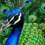 Lisa Knickerbocker - Facebook