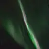 lisa.knutsen - @lisa.knutsen - TikTok