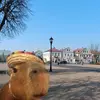 Alisa_Kobrin🇧🇾❤️‍🔥 - @alisa.o34 - TikTok