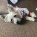 Lisa Gladitsch Koepke - Facebook