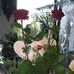 Lisa Koepke - Facebook