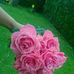Lisa Kole - Facebook