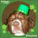 Lisa Kott - Facebook