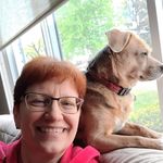Lisa Kott MacDonnell - @lisakottmacdonnell - Instagram