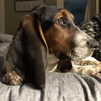 Lisa Browning Krapf - Facebook