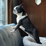 Lisa Nordstrom Kuck - @lisa.kuck - Instagram