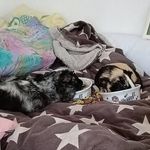 Lisa Kunst - @in_eine_beziehung - Instagram