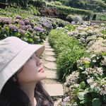 Lisa Kuo - @lisakuo30 - Instagram