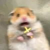 Lisa Kus - @anytkakasa - TikTok