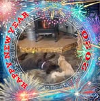 Lisa Labarge - Facebook
