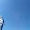 lisalalli - @lisalalli - TikTok