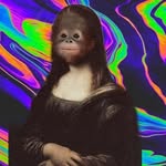 lisalamona - @lisalamona_ - Instagram
