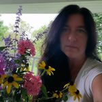 Lisa LaMonica - @lisa.lamonica.14 - Instagram