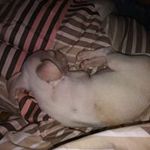 Lisa Lamonica - @lamonicalisa - Instagram